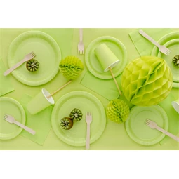 Papírtányérok 23 cm világoszöld S/6