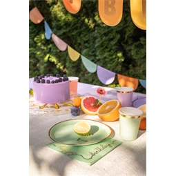 Papírpohár mix 220 ml S/6