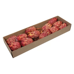 Protea szárított S/12