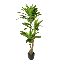 Selyemvirág Dracena cserépben 140 cm