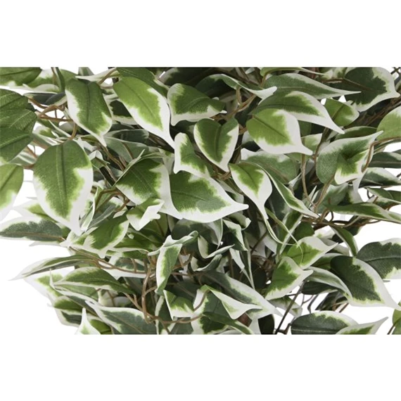 Selyemvirág fikusz cserepes 80x80x180 cm