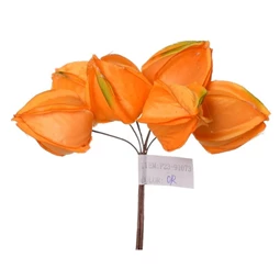 Selyemvirág Physalis betűzős 13 cm