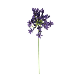 Selyemvirág Agapanthus 75x15x15 cm