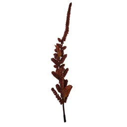 Selyemvirág amaranthus 120 cm