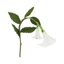 Selyemvirág angyaltrombita 122x24x24 cm