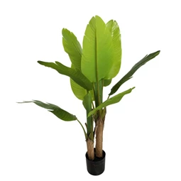 Selyemvirág banánfa 10 levéllel, cserepes 120 cm