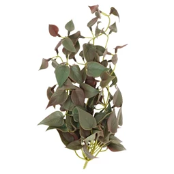 Selyemvirág futó Pletyka 35 cm