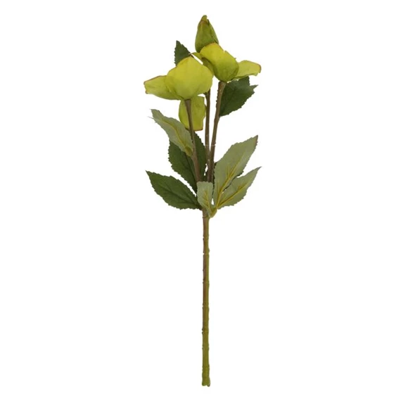 Selyemvirág helleborus 40 cm