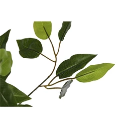 Selyemvirág kaspóban Fikusz 80x80x180 cm