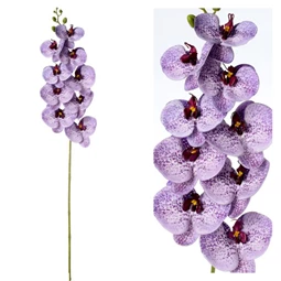 Selyemvirág lepkeorchidea 96 cm