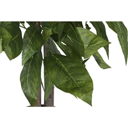 Selyemvirág mangó cserepes 80x80x150 cm