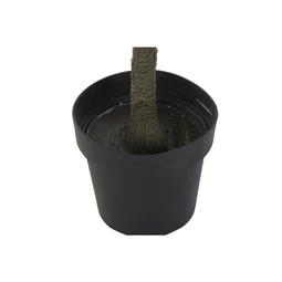 Selyemvirág Olajfa 50x142 cm