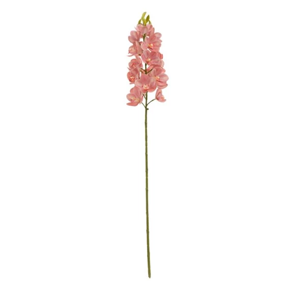 Selyemvirág lepkeorchidea 80 cm