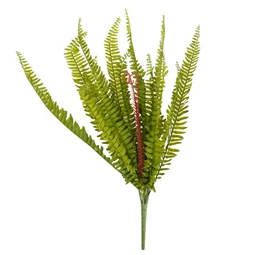 Selyemvirág Páfrány 60 cm