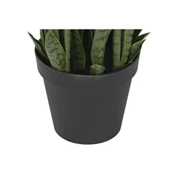Selyemvirág Sansevieria cserepes 40x40x150 cm