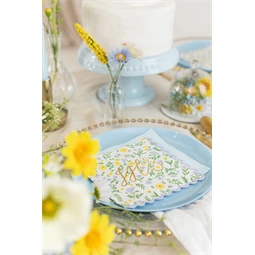 Szalvéta ihs, mix, 33x33 cm S/20