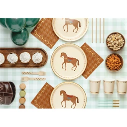 Szalvéta kengyelek mintás mix, 33x33 cm S/12