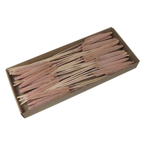 Szárazvirág csokor dobozban 70-75 cm S/6