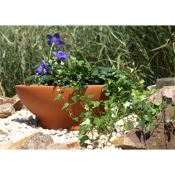 Tál 31 cm