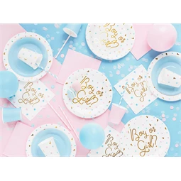 Papírtányér fiú vagy lány 23 cm S/6