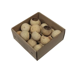 Termés dobozban S/20