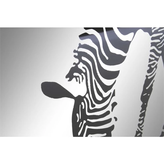Tükör zebrás 60x3,5x80 cm
