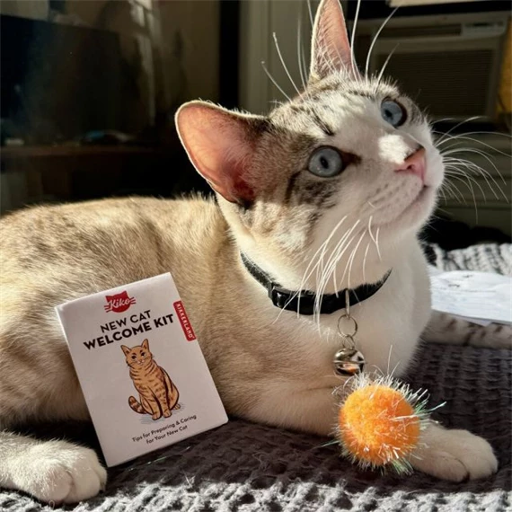 Üdvözlő készlet macskáknak fémdobozban 7,3x10,5x3 cm