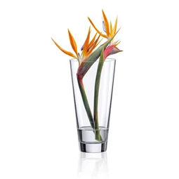 Váza AMBIENTE 12,5x25 cm