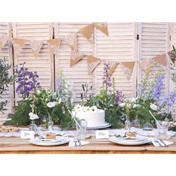 Zászlófüzér kraft 2,1 m