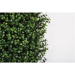 Zöldfal buxus levelekkel 1x1 m