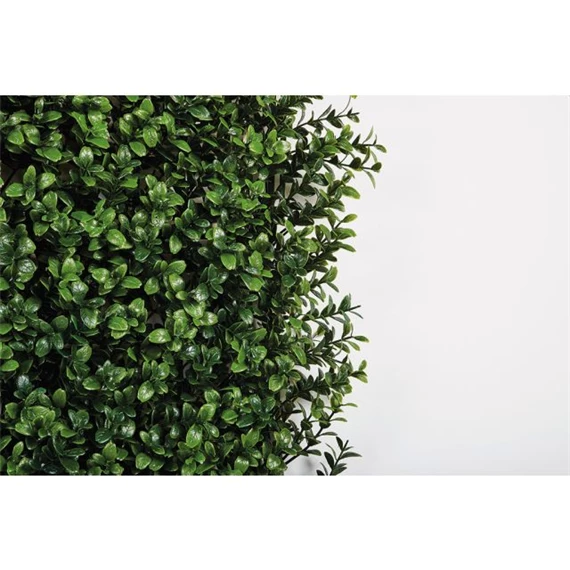 Zöldfal buxus levelekkel 1x1 m