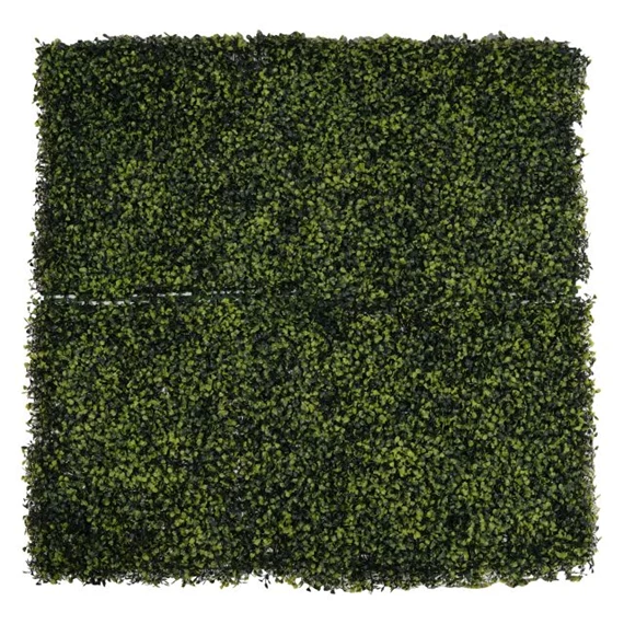 Zöldfal tuja levelekkel 50x50 cm