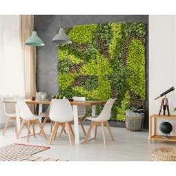 Zöldfal vegyes levelekkel 1x1 m